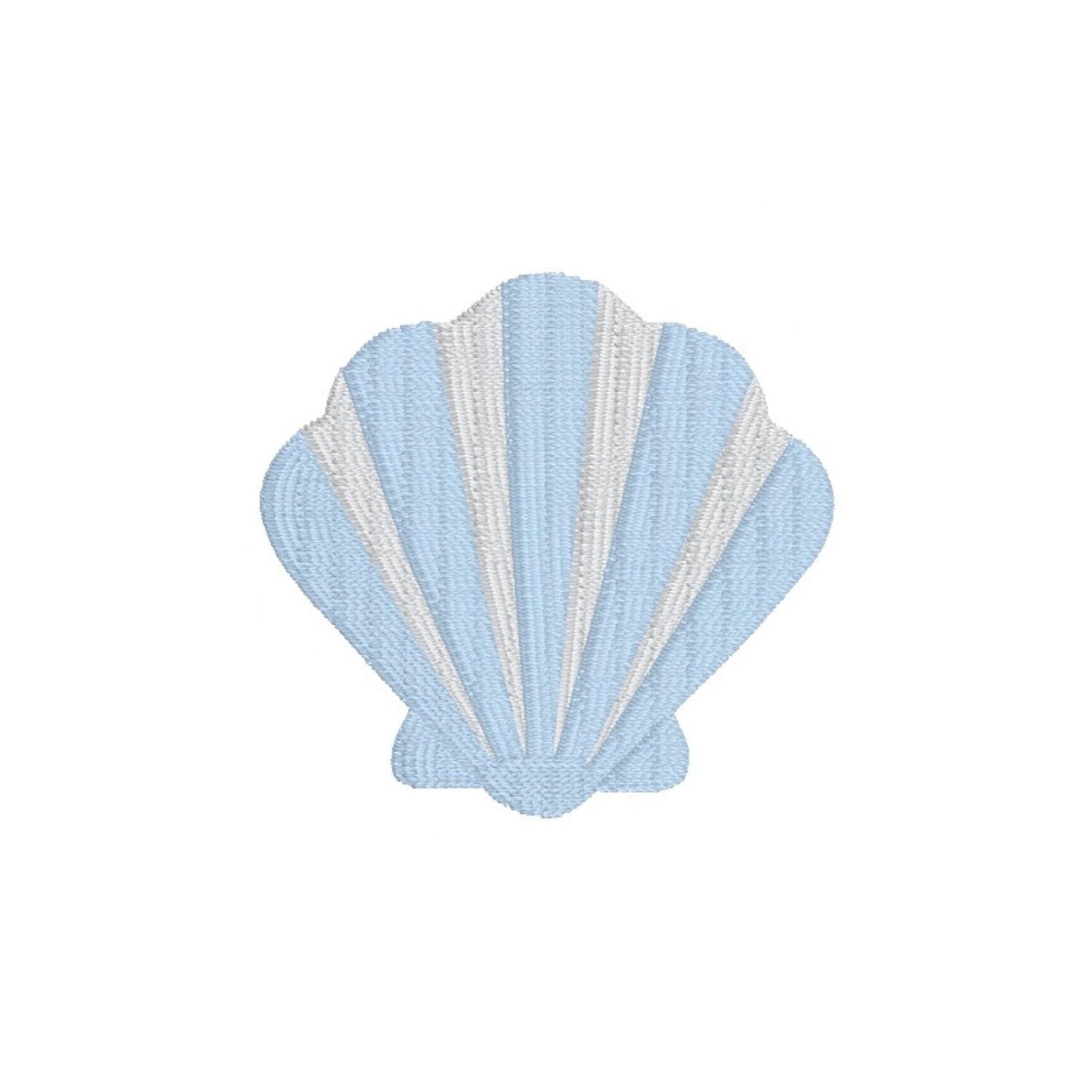 Two Toned Seashell