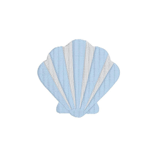 Two Toned Seashell